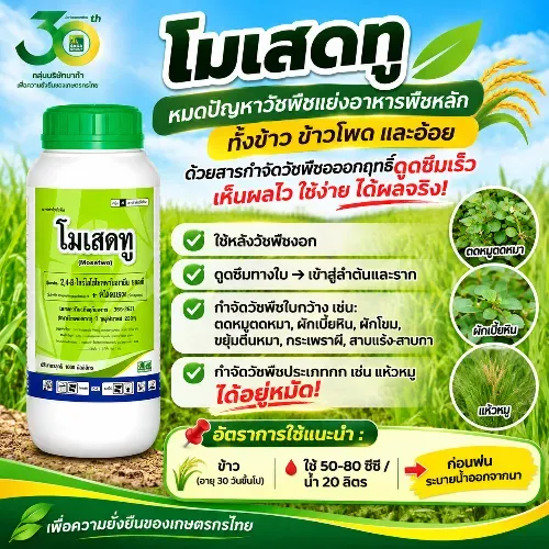 โมเสดทู