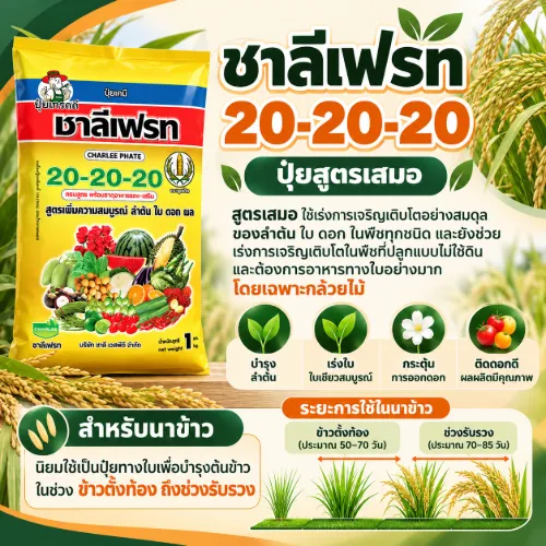 20-20-20 ชาลีเฟรท 