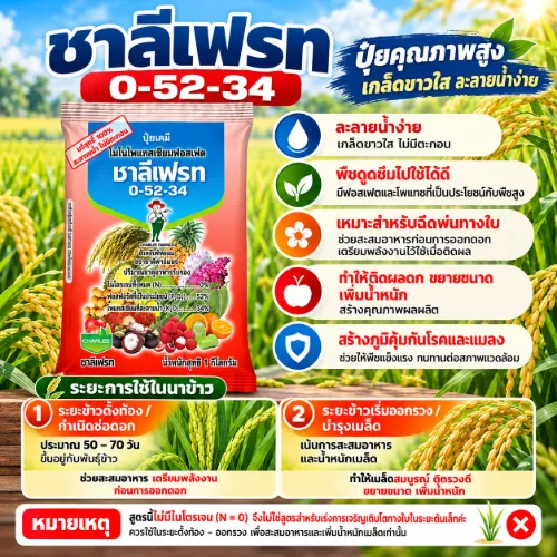 0-52-34 ชาลีเฟรท