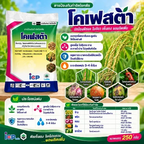 โคเฟสต้า 250g