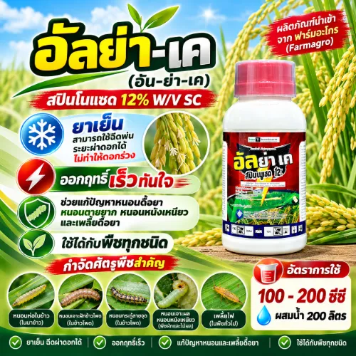 อัลย่า เค