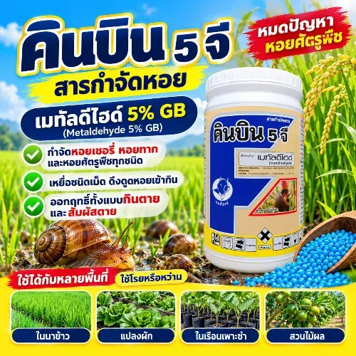 คินบิน 5 จี