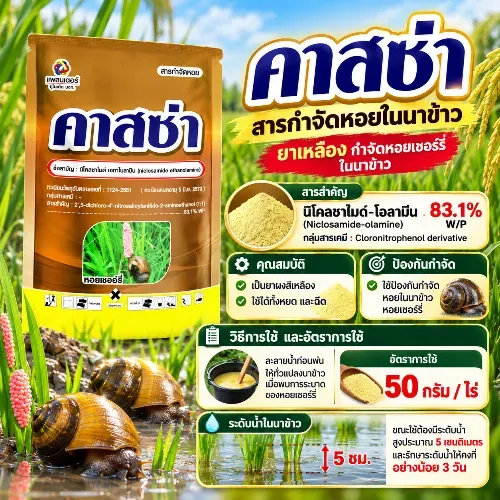 คาสซ่า (ฆ่าหอย)
