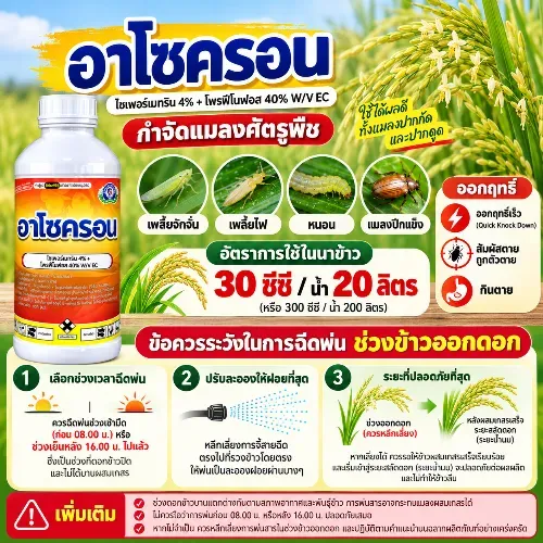 อาโซครอน