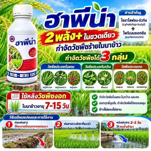 ฮาพีน่า