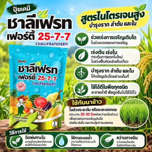 25-7-7 ชาลีเฟรท