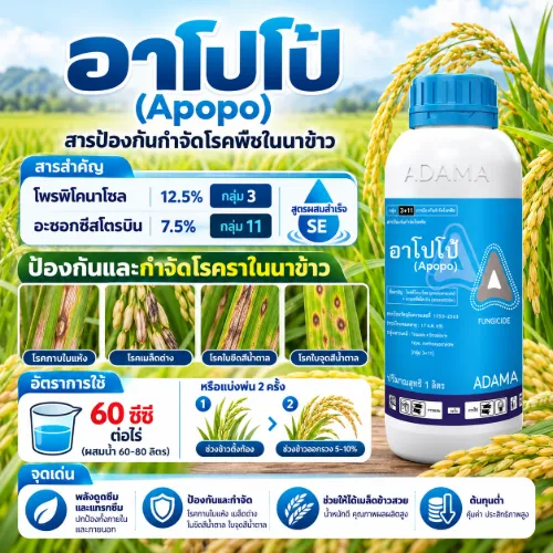 อาโปโป้ 500cc