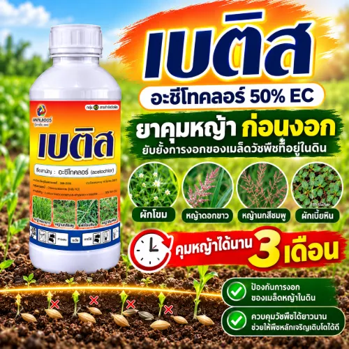 เบติส