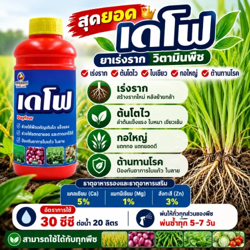 เดโฟ
