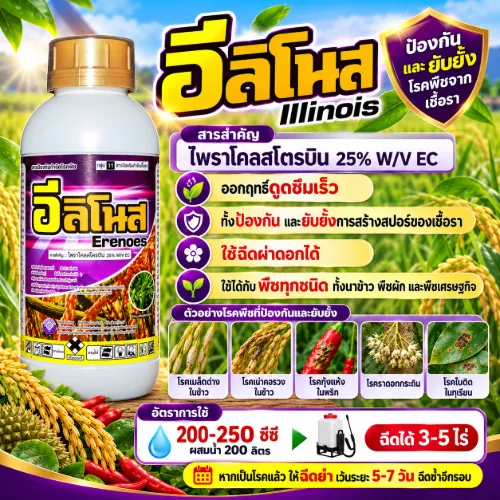 อีลิโนส