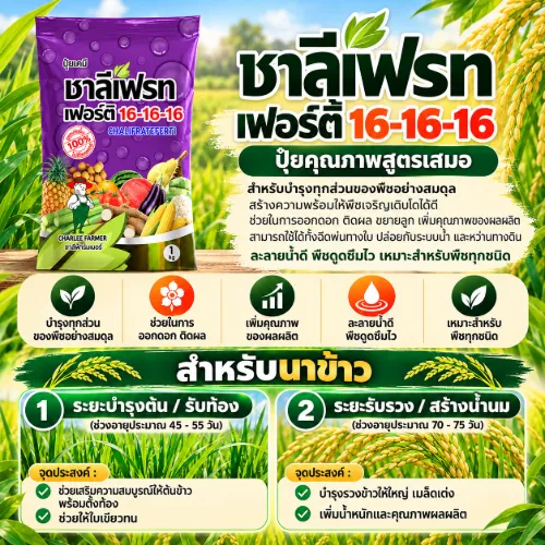 16-16-16 ชาลีเฟรท 