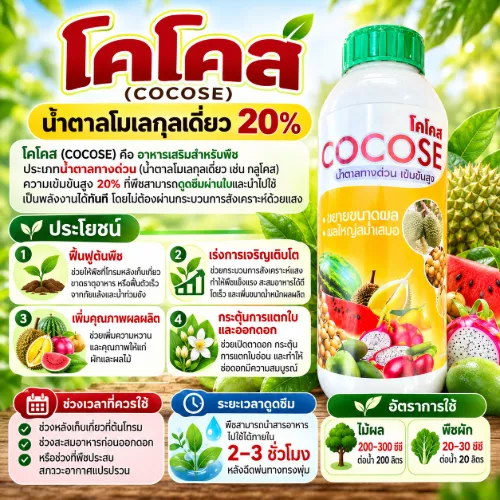 โคโคส
