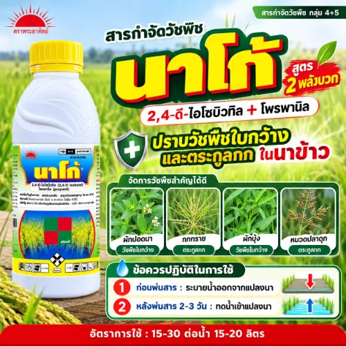 นาโก้