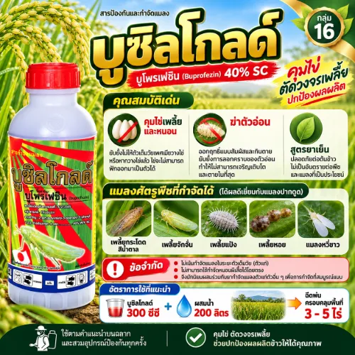 บูซิลโกลด์