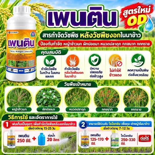 เพนติน