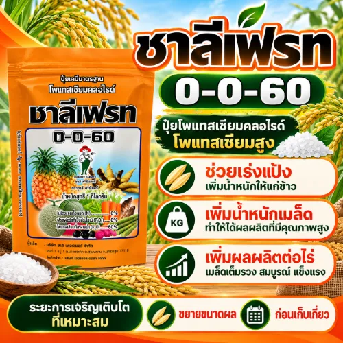 0-0-60 ชาลีเฟรท