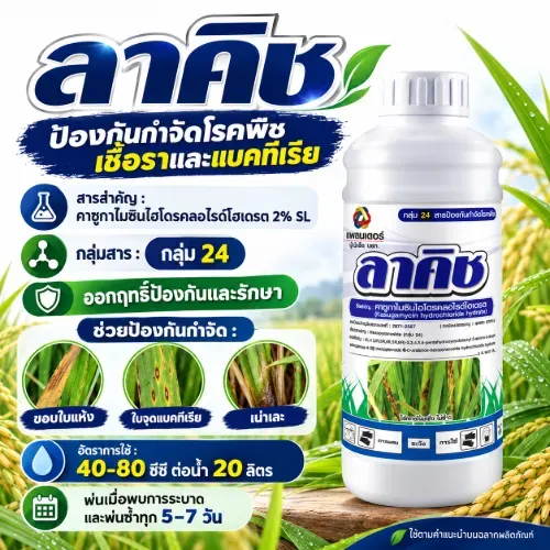 ลาคิช 1L