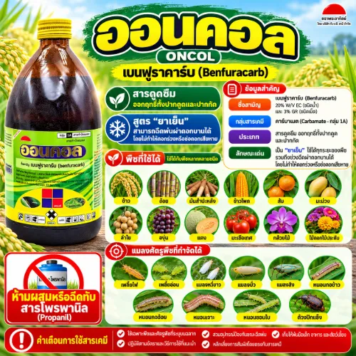 ออนคอล
