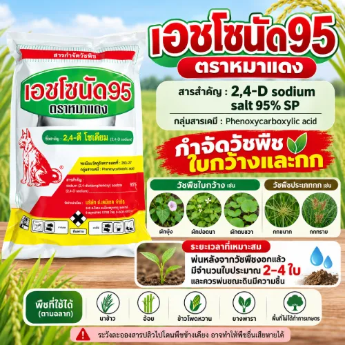 2-4D โซเดียม หมาแดงผง (1 กก.)