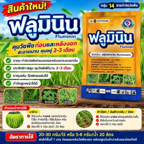 ฟลูมินิน
