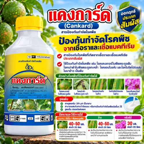 แคงการ์ด 1L