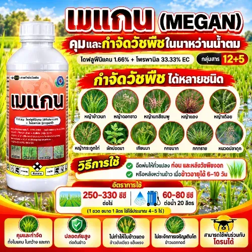 เมแกน