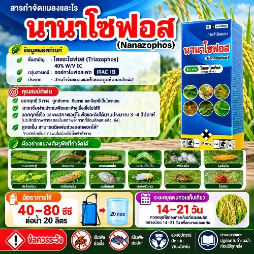 นานาโซฟอส