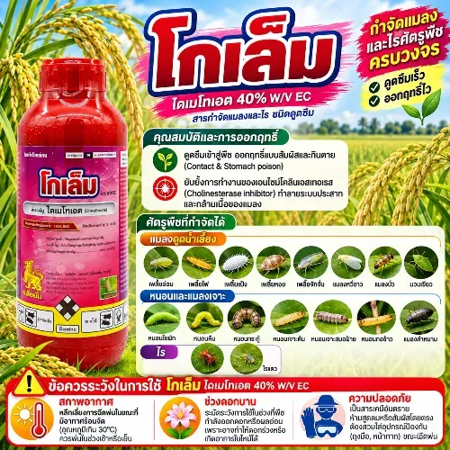 โกเล็ม