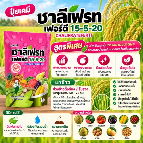 15-5-20 ชาลีเฟรท