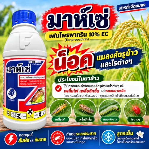 มาห์เซ่