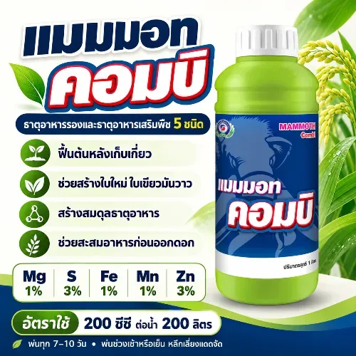 แมมมอท คอมบิ